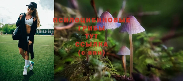 скорость Алексин
