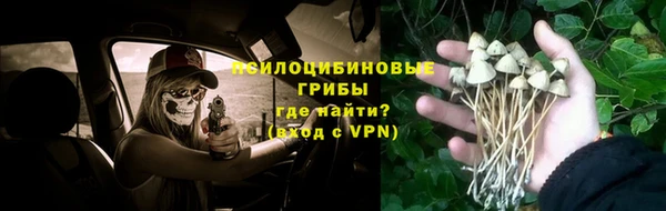 PSILOCYBIN Алексеевка