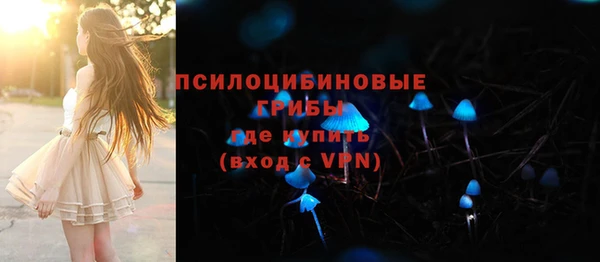 гидра Алзамай