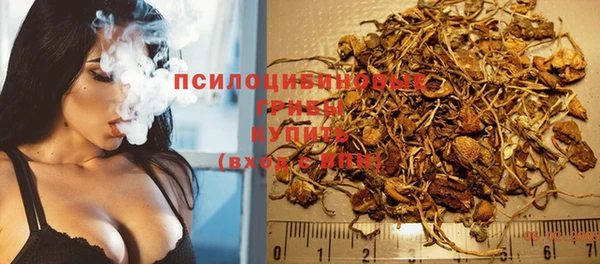 скорость Алексин