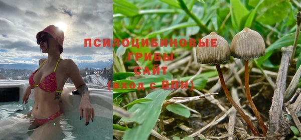 PSILOCYBIN Алексеевка
