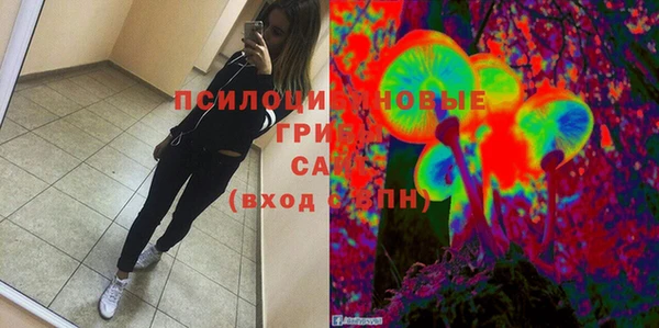 гидра Алзамай