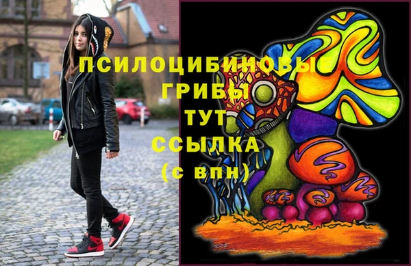 гидра Алзамай